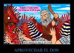 Enlace a Pues yo esta peli la vería