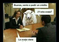 Enlace a -¿Y COMO PAGARÁ?