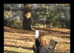 Enlace a A FALTA DE CANTIMPLORA