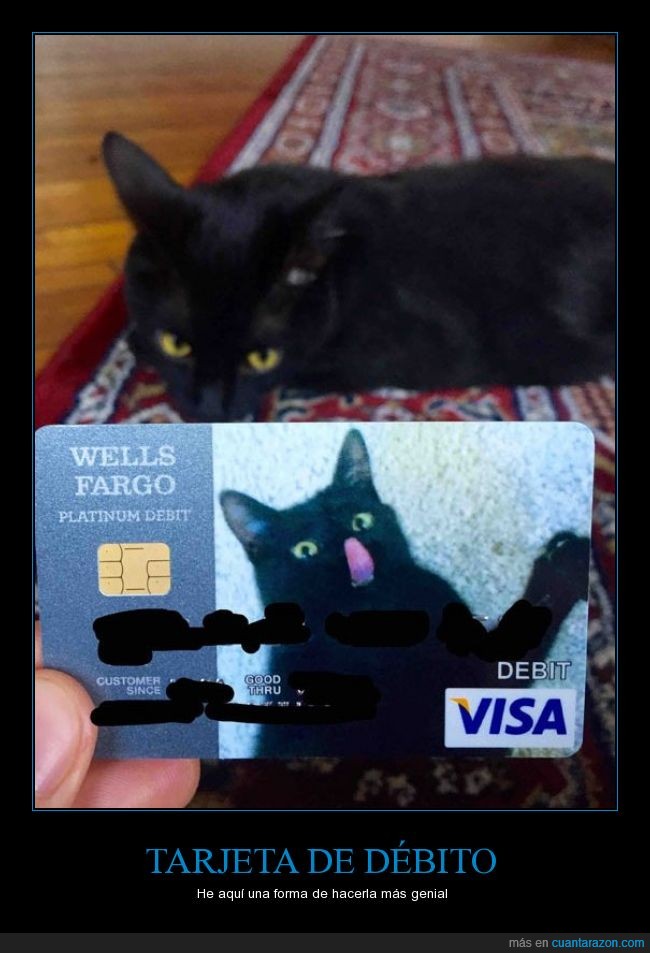tarjeta,debito,gato,visa,foto
