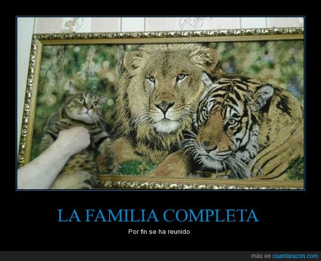 cuadro,gato,tigre,tapiz,leon,familia