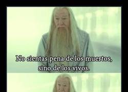 Enlace a Dumbledore se apiada de vosotros