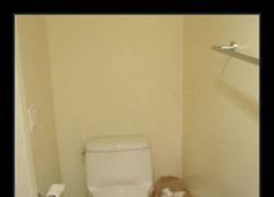 Enlace a Cómo pasar de un baño roñoso cualquiera al baño donde Mario cagaría