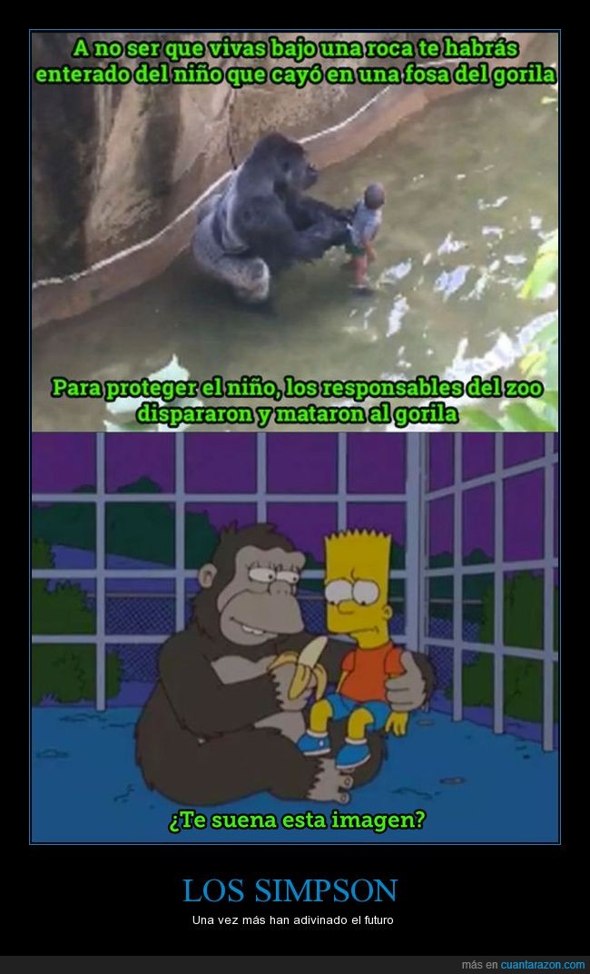 gorila,simpson,bart,niño