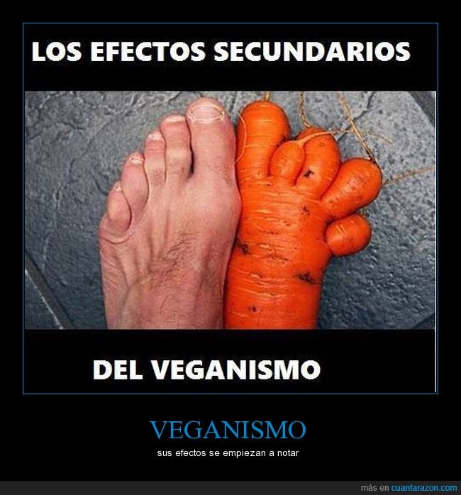 veganos,veganismo,zanahoria,pie