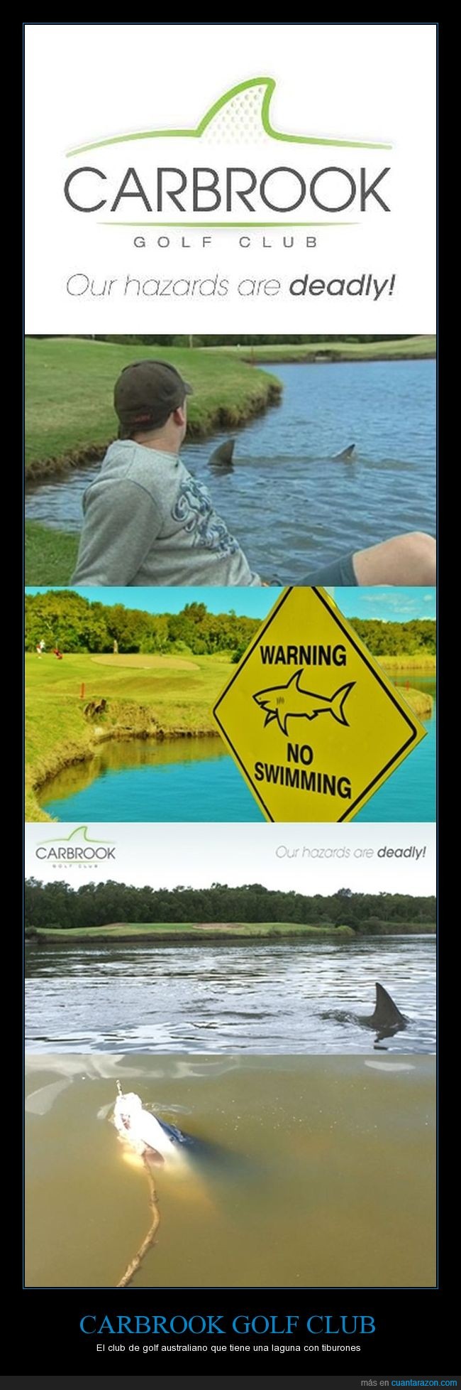 Carbrook Golf Club,golf,laguna,tiburones,nadie va a por las pelotas que caen al agua,tiburón toro,Australia