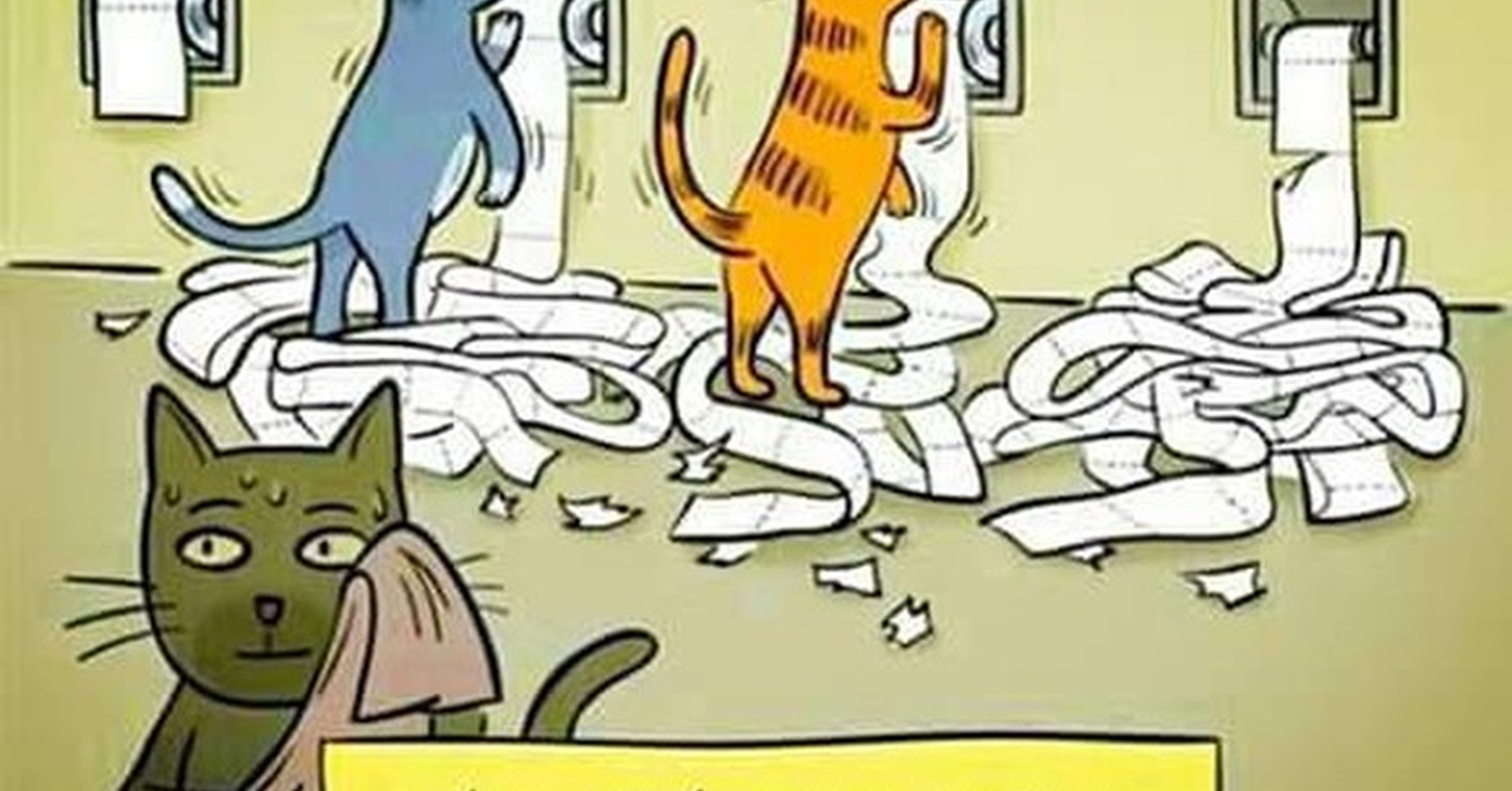 Коты и туалетная бумага