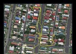 Enlace a Trackers GPS que muestran la actividad gatuna durante la noche