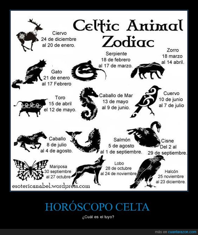 animales,horóscopo celta,soy lobo,zodiaco