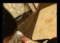 Enlace a ¡Admítelo, la quieres ya!