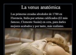 Enlace a La venus anatómica, de 1780 [Abstenerse sensibles]