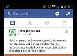 Enlace a la comparación más absurda hecha por veganos que verás hoy