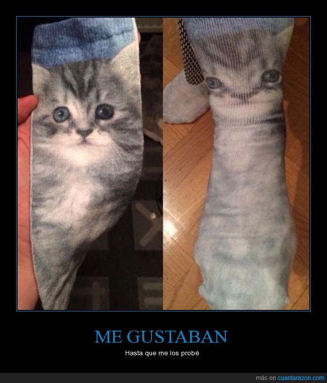 calcetines,gato,fail