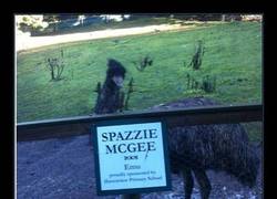 Enlace a SPAZZIE MCGEE