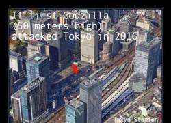 Enlace a Si el primer Godzilla (50m) atacara hoy Tokyo, básicamente se comería los mocos