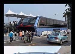 Enlace a TREN ELEVADO PRO-TRÁFICO