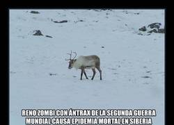 Enlace a BREAKING: Reno zombi está causando epidemia mortal en Siberia