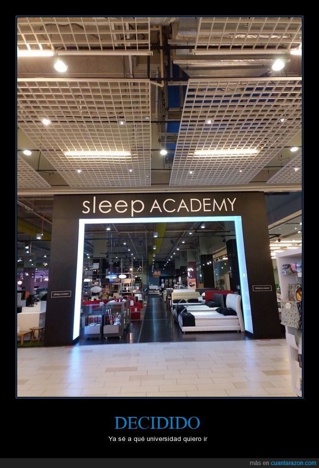 sleep academy,universidad,dormir