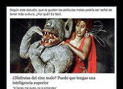 Enlace a Todas las veces en que Internet te ha dicho que eras un genio