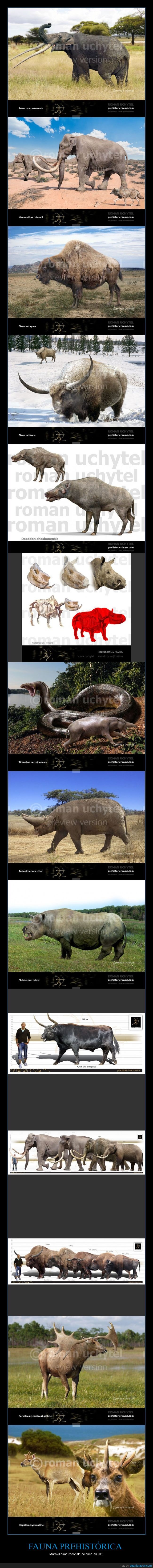 Fauna,Animal,Prehistoria,Prehistorica,Primitiva,Ciervo,Elefante,Toro,Vaca