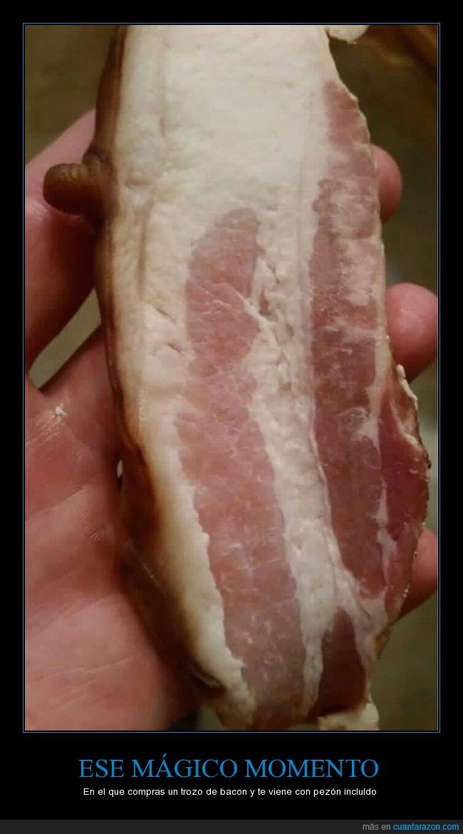 bacon,cerdo,trozo,carne,pecho