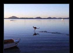 Enlace a ESTÁBAMOS EQUIVOCADOS