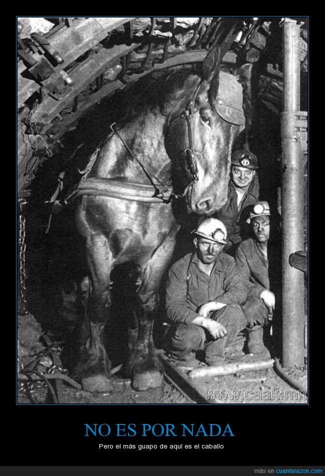 caballo,mineros,mina,feos,foto