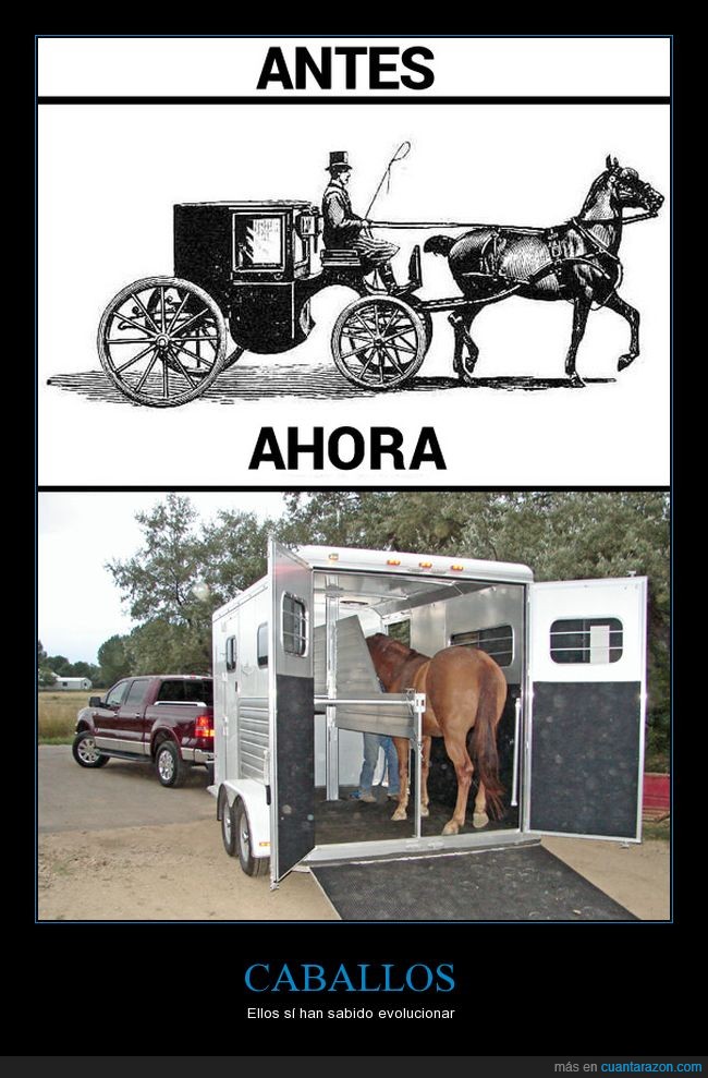 caballos,remolque,transporte