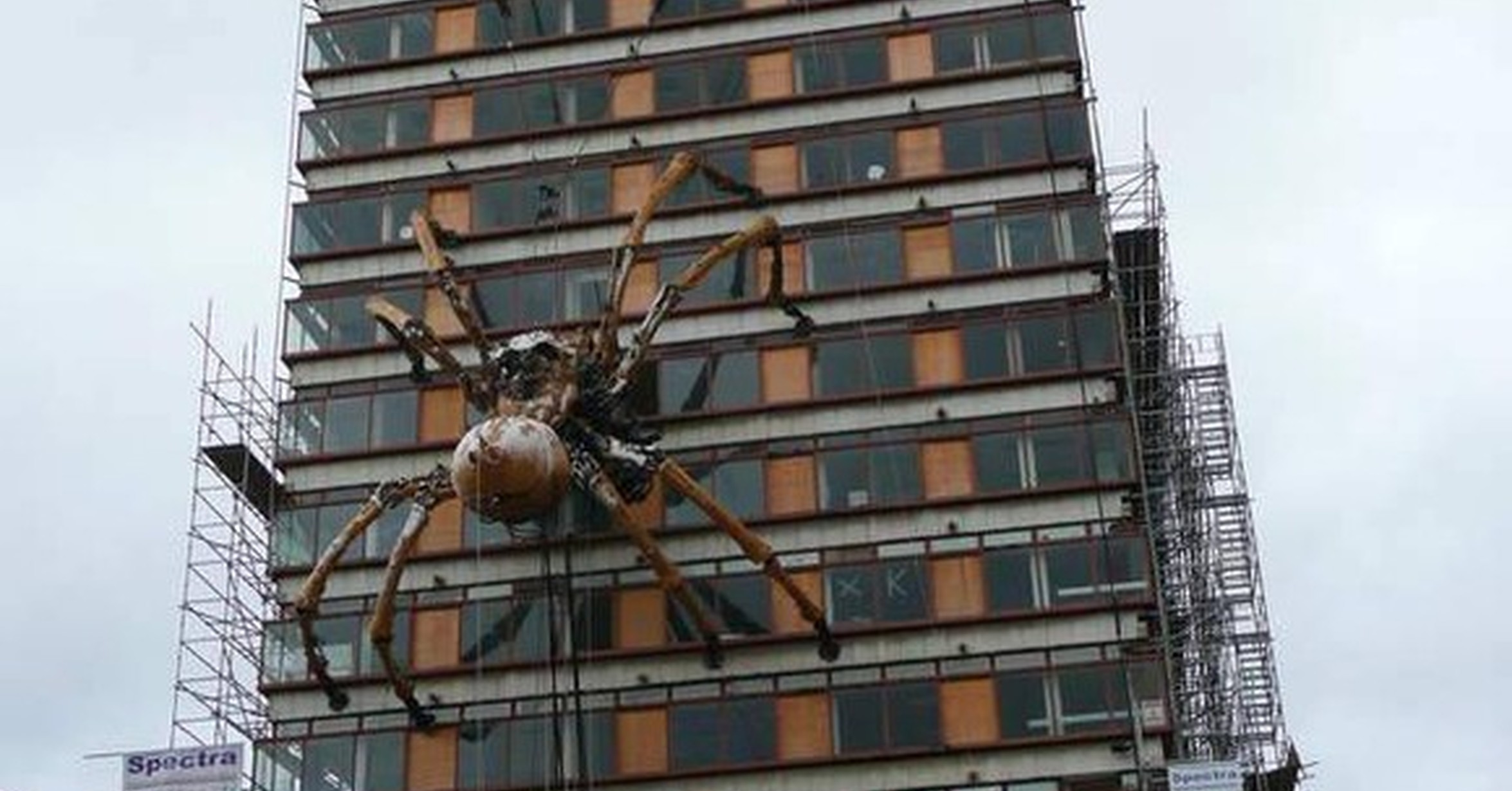 Гигантский паук на многоэтажном доме