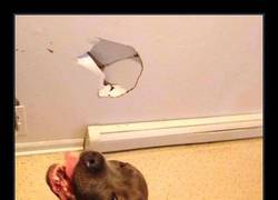 Enlace a ESTABA TAN EMOCIONADO