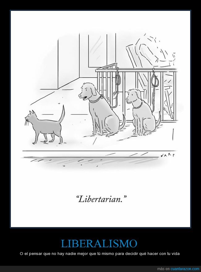 correa,gato,Liberalismo,libertarian,libre,pasear,perro,politica