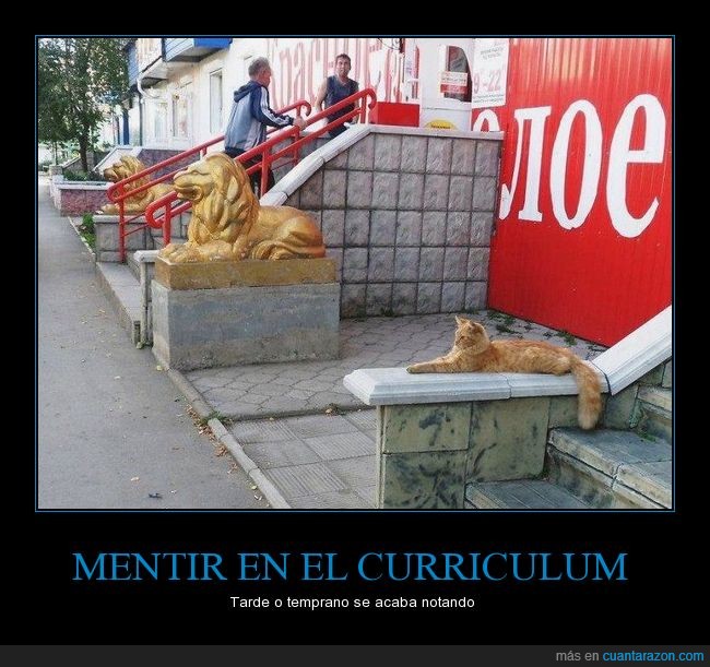 mentir,mentira,curriculum,gato,leon