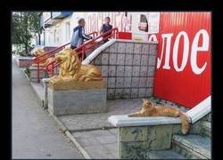 Enlace a MENTIR EN EL CURRICULUM