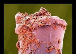 Enlace a ¿QUÉ ES ESTO?