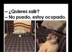 Enlace a Y ESTA, AMIGOS