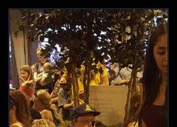 Enlace a SÉ UNA FLOR AMIGO