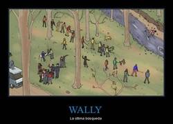 Enlace a DEP WALLY