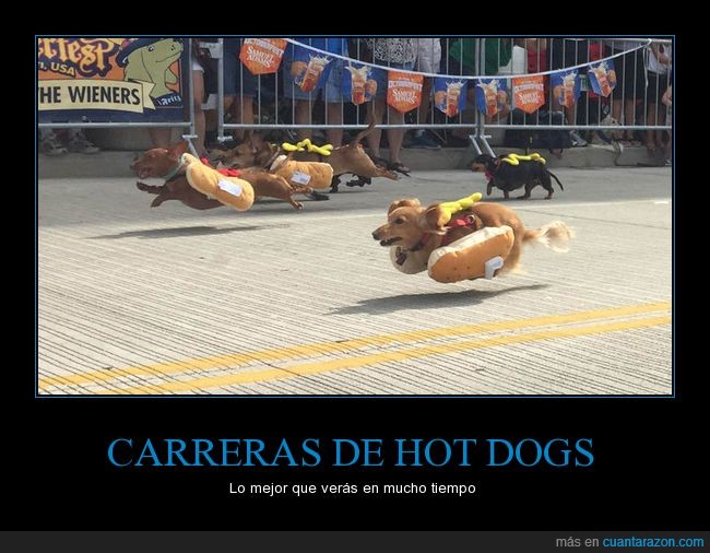 carrera,cincinnati,hotdog,perrito caliente,perro