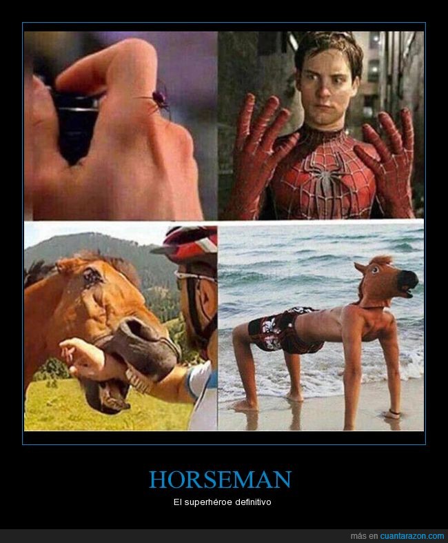 caballo,horse,morder,spiderman,cabeza de caballo