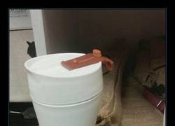 Enlace a El café es lo primero