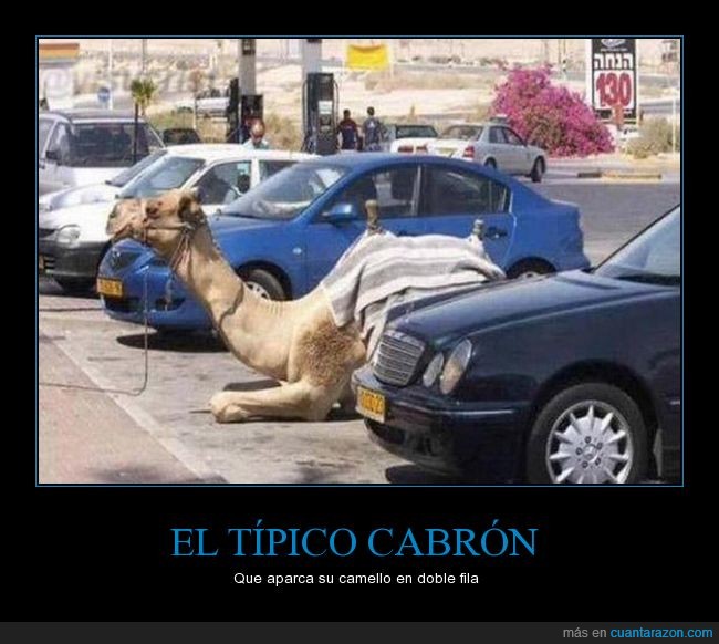 camello,coches,aparcar,doble fila