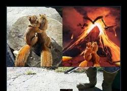 Enlace a La pareja más adorable de ardillas recibe los chops más legendarios