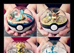 Enlace a Artista aficionada a Pokémon construye estos terrarios