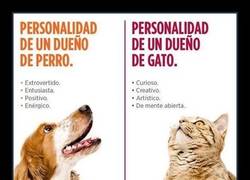 Enlace a Si tienes perro o gato, ¿crees que lo acierta?