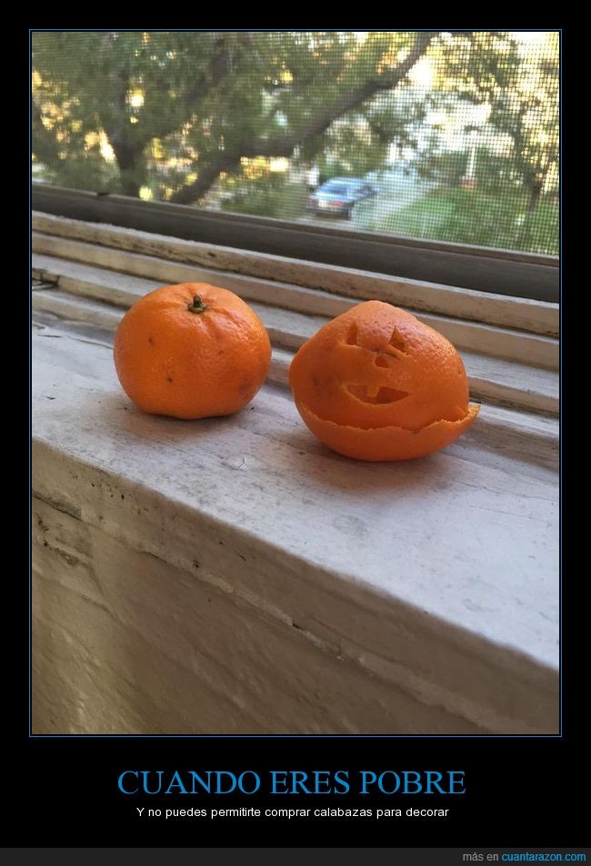 halloween,mandarina,calabaza,decorar