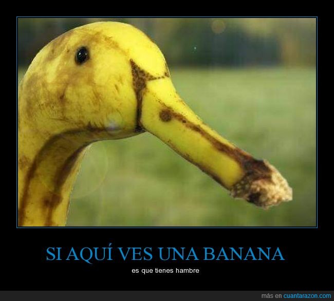 banana,parecidos,pato