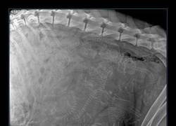 Enlace a Nunca lo había imaginado así