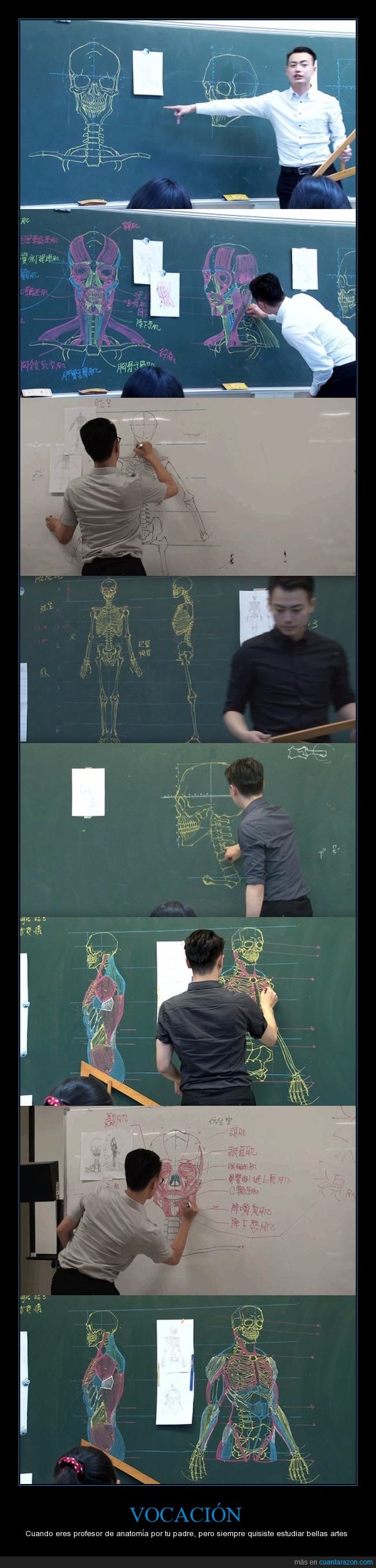 profesor,anatomía,bellas artes