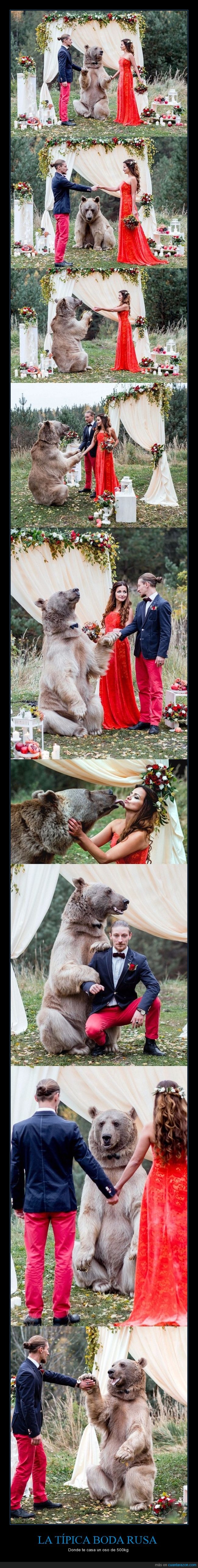 oso,boda,rusos,wtf