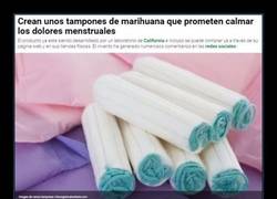 Enlace a Crean unos tampones de marihuana que prometen calmar los dolores menstruales